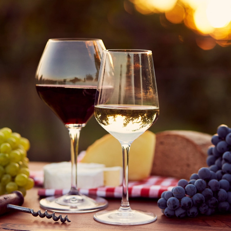 Degustazione vini Piemonte