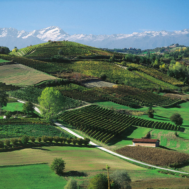 Hotel with spa in Turin